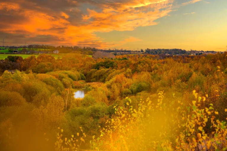 Fairburn Ings Nature Reserve